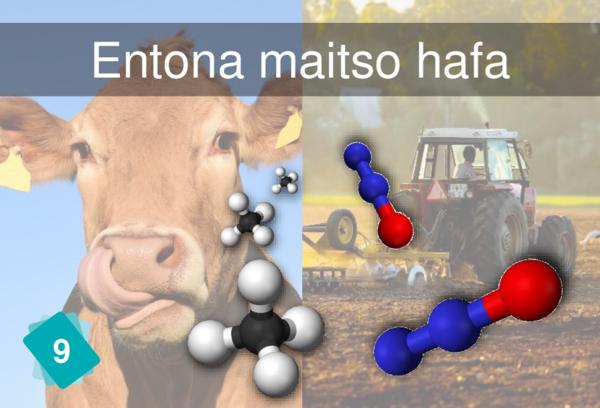 Entona maitso hafa