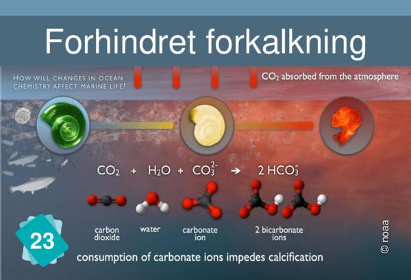 Forhindret forkalkning