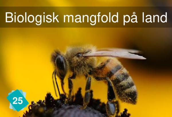 Biologisk mangfold på land