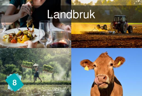 Landbruk