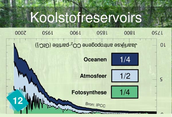 Koolstofreservoirs