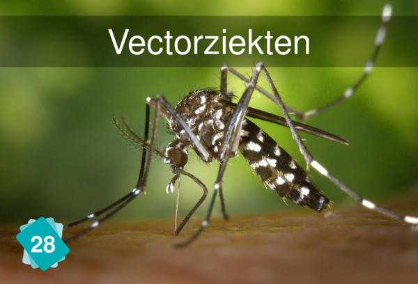 Vectoren voor ziekteoverdracht