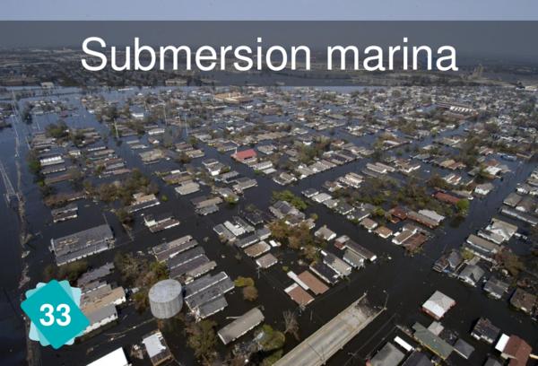 Marine Submersion