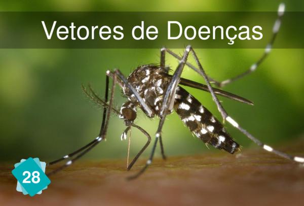 Vetores de Doenças