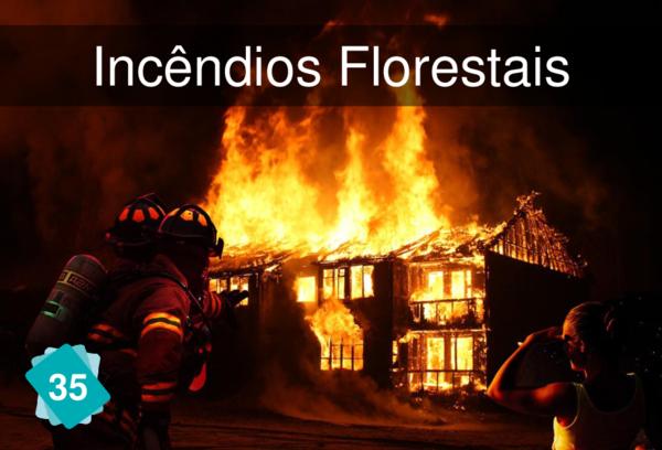 Incêndios Florestais