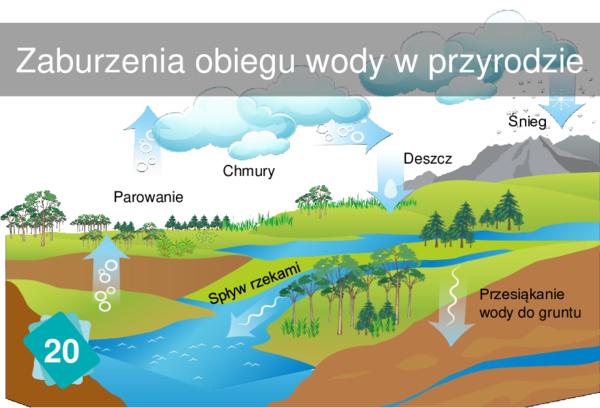 Zaburzenia obiegu wody w przyrodzie