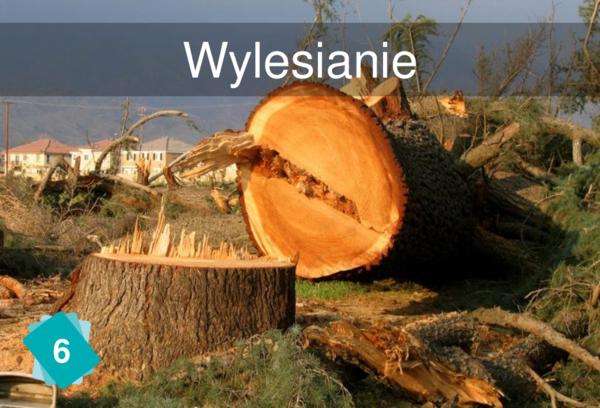 Wylesianie