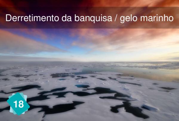 Derretimento da banquisa / gelo marinho