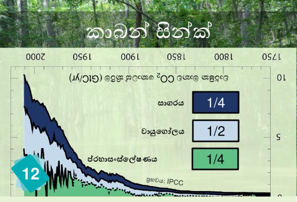 Carbon Sinks