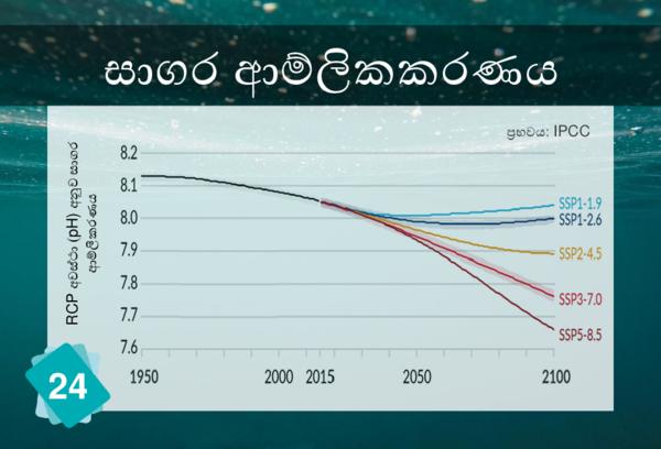 Ocean Acidification