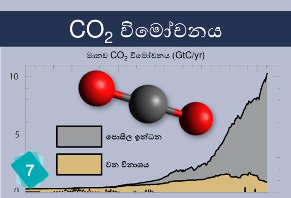 Fossil Fuels