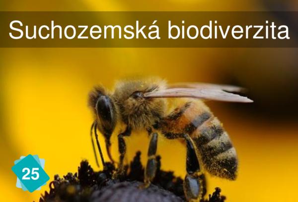 Suchozemská biodiverzita