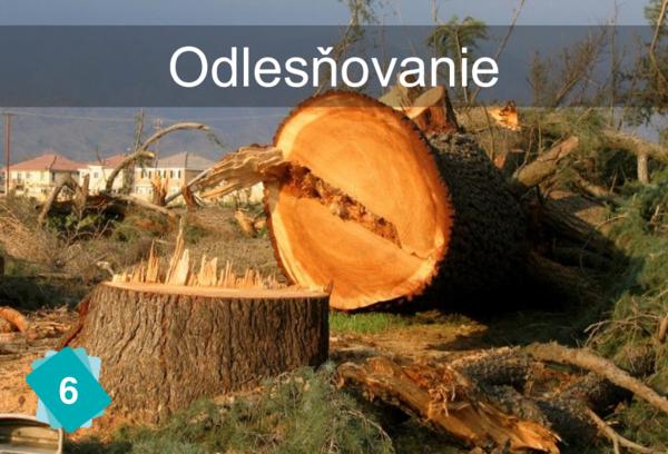 Odlesňovanie