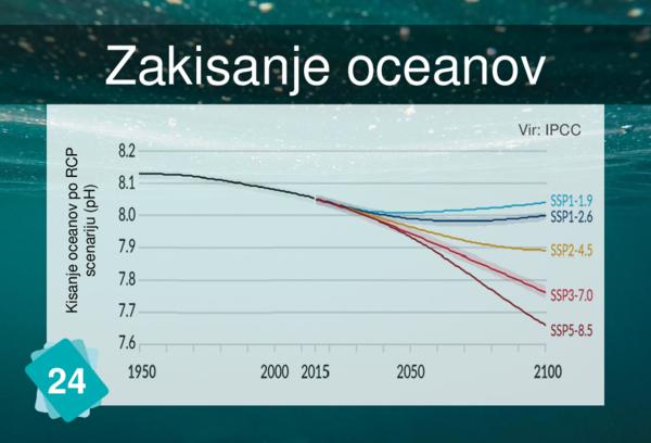 Ocean Acidification