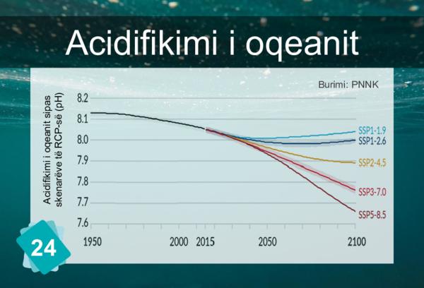 Ocean Acidification