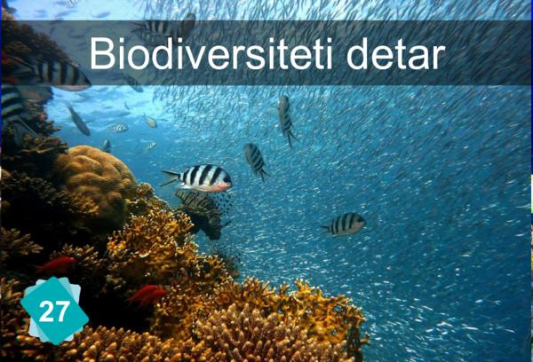 Marine Biodiversity