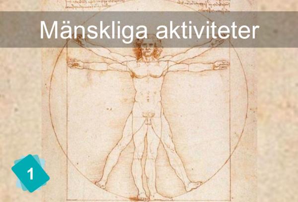 Mänskliga aktiviteter