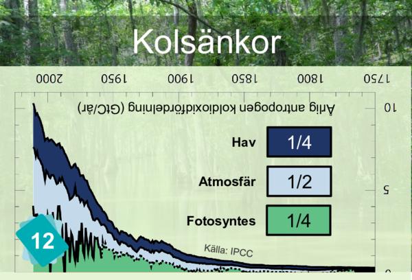 Koldioxidutsläpp