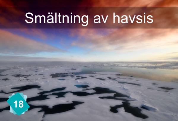 Smältning av havsis