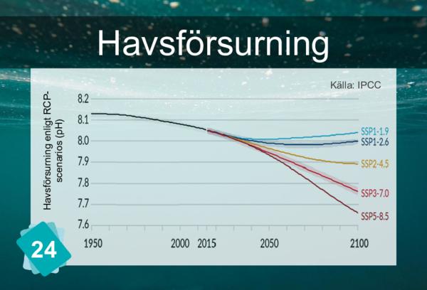 Havsförsurning