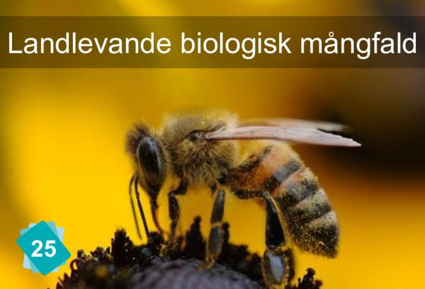 Landlevande biologisk mångfald