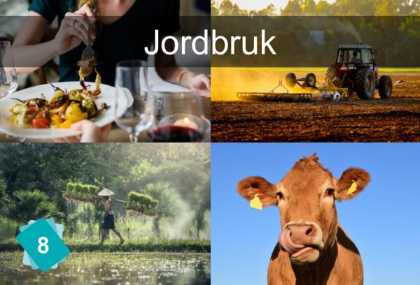 Jordbruk