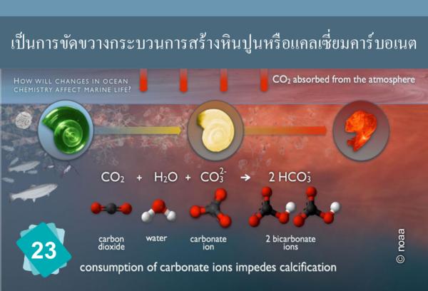 Calcification difficulties