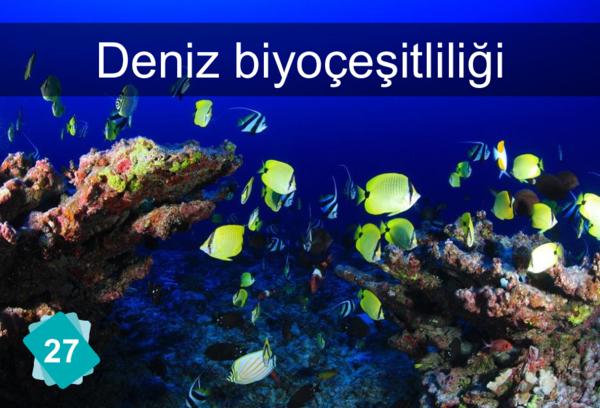 Deniz biyoçeşitliliği