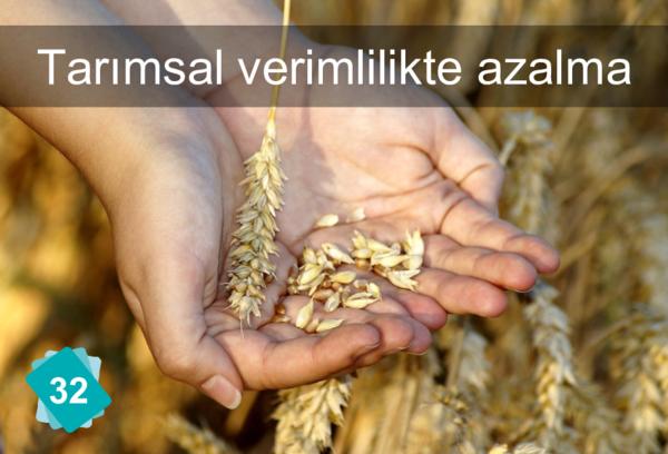 Tarımsal verimlilikte azalma