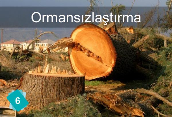 Ormansızlaştırma (Ormanların yok edilmesi)