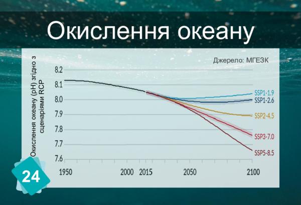 Поглиначі вуглецю