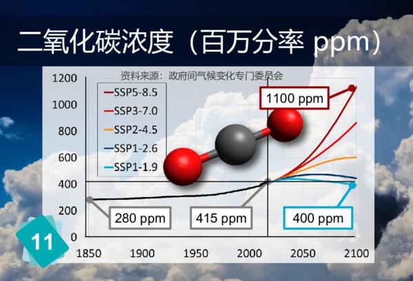 碳匯(Carbon Sink)