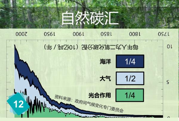 二氧化碳（CO2） 排放