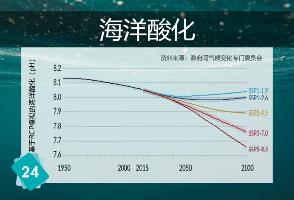 海洋酸化