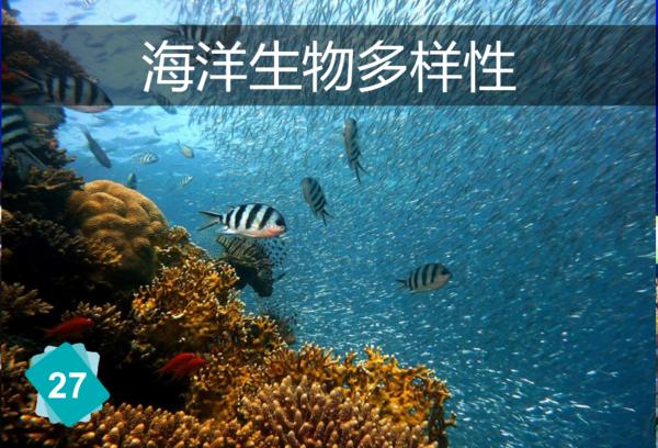 海水溫度上升