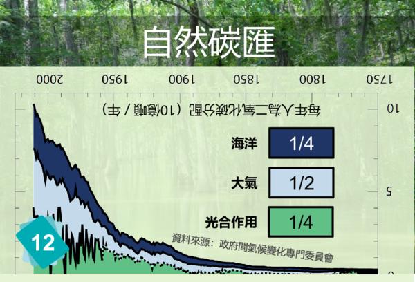 CO2的排放