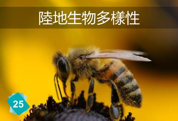 陆地生物多样性