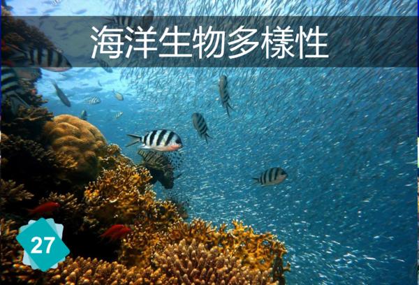 海洋生物多样性