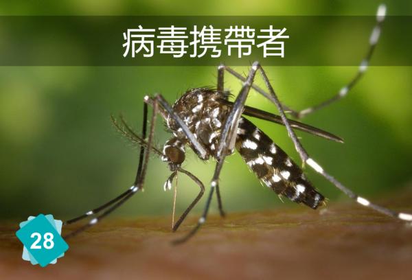 陆地生物多样性